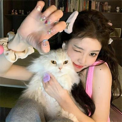 野性印度卡纳塔克邦